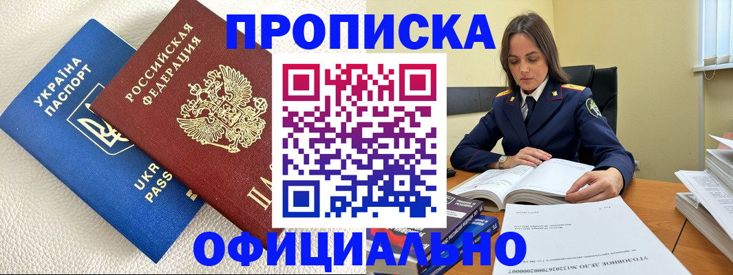 прописка поиск в Купино